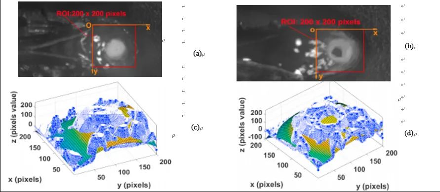 基于視覺的T型接頭激光樁焊光束偏移檢測